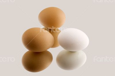 Brown and white eggs