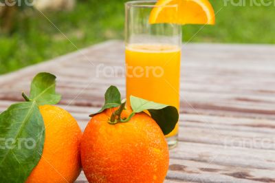 Two fresh sicilian oranges 