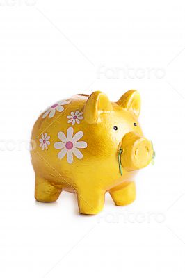 Goldy piggybank in flowers isolated