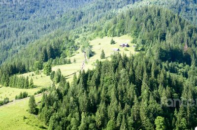 evening mountain plateau landscape (Carpathian, Ukraine) 