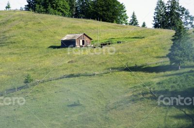 evening mountain plateau landscape (Carpathian, Ukraine) 