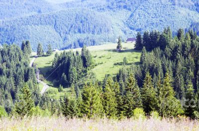 evening mountain plateau landscape (Carpathian, Ukraine) 