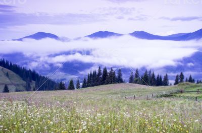 evening mountain plateau landscape (Carpathian, Ukraine) 