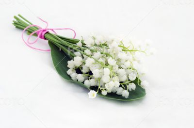 Close up of Lily of the valley