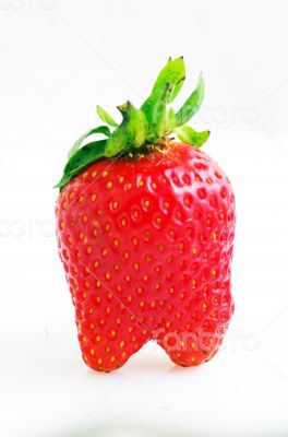 Healthy red strawberry fruit  isolated on the white background 
