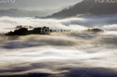 Beautiful cloudy forest in the Carpathian mountains.