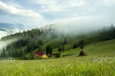 evening mountain plateau landscape (Carpathian, Ukraine)
