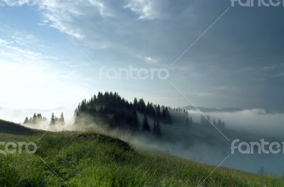 evening mountain plateau landscape (Carpathian, Ukraine)