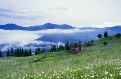 evening mountain plateau landscape (Carpathian, Ukraine)