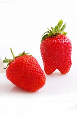 Fresh strawberries were placed on a white background 