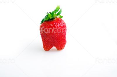 Strawberry isolated on white background 