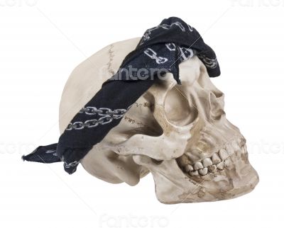 Skull Wearing a Black Bandana