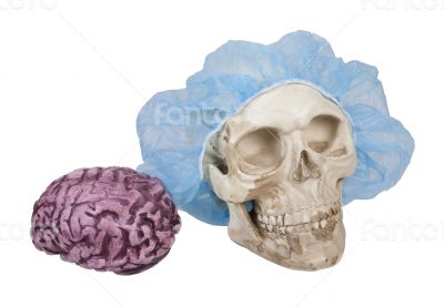 Skull with Hair Net with Brains Nearby