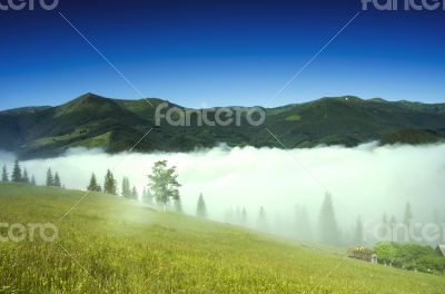 evening mountain plateau landscape (Carpathian, Ukraine) 