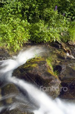 Flowing water of Carpathian mountain stream 