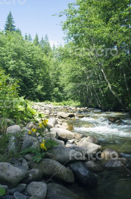 Threshold of the mountain river and wet stones 