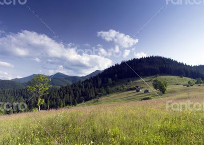 evening mountain plateau landscape (Carpathian, Ukraine)