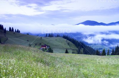 evening mountain plateau landscape (Carpathian, Ukraine) 