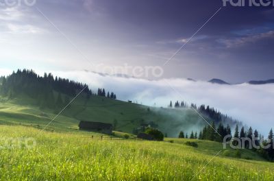 evening mountain plateau landscape (Carpathian, Ukraine) 