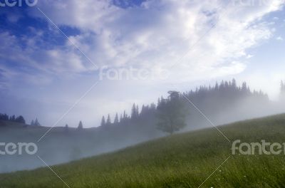 evening mountain plateau landscape (Carpathian, Ukraine) 