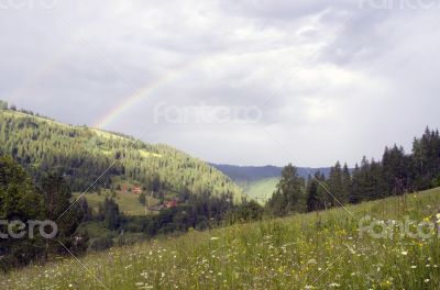 evening mountain plateau landscape (Carpathian, Ukraine)