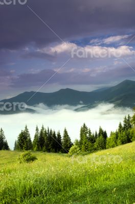 evening mountain plateau landscape (Carpathian, Ukraine) 