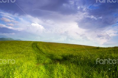 evening mountain plateau landscape (Carpathian, Ukraine) 