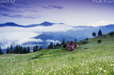 evening mountain plateau landscape (Carpathian, Ukraine) 