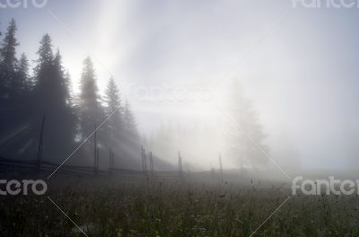 evening mountain plateau landscape (Carpathian, Ukraine) 