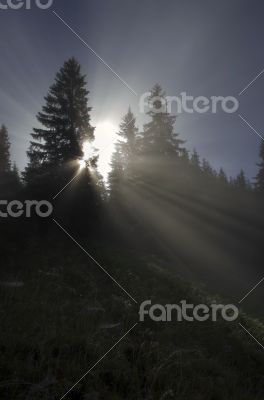 evening mountain plateau landscape (Carpathian, Ukraine) 