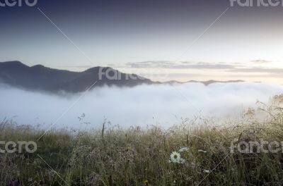 evening mountain plateau landscape (Carpathian, Ukraine) 
