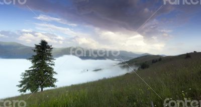 evening mountain plateau landscape (Carpathian, Ukraine) 