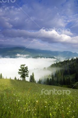 evening mountain plateau landscape (Carpathian, Ukraine)