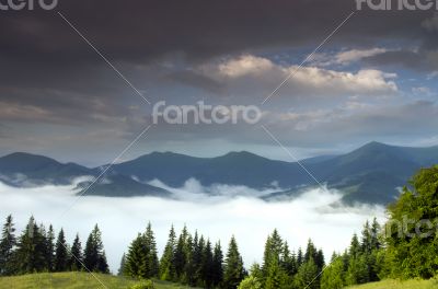 evening mountain plateau landscape (Carpathian, Ukraine)