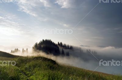 evening mountain plateau landscape (Carpathian, Ukraine)