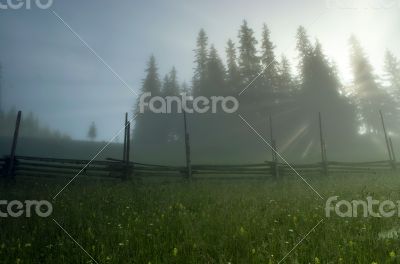 evening mountain plateau landscape (Carpathian, Ukraine)