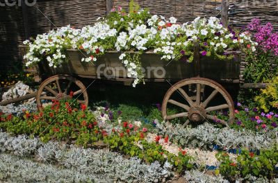 Bed with flowers issued old rural style