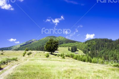evening mountain plateau landscape (Carpathian, Ukraine) 