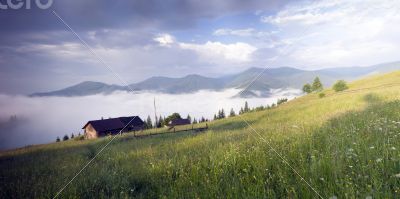 evening mountain plateau landscape (Carpathian, Ukraine) 