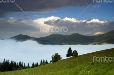 evening mountain plateau landscape (Carpathian, Ukraine) 