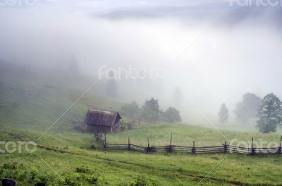 evening mountain plateau landscape (Carpathian, Ukraine) 