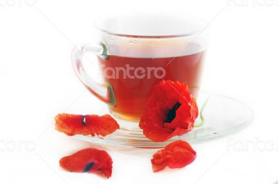 Poppy in glass cup on white table 