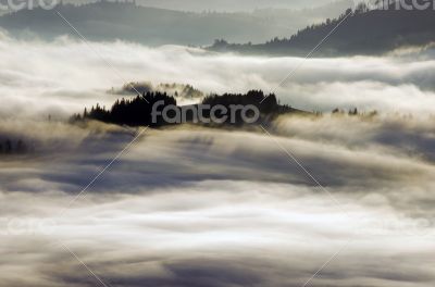 evening mountain plateau landscape (Carpathian, Ukraine)