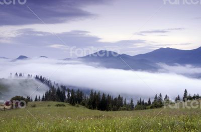 evening mountain plateau landscape (Carpathian, Ukraine)