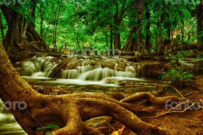 Tree by the waterfall