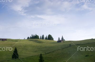 	evening mountain plateau landscape (Carpathian, Ukraine)