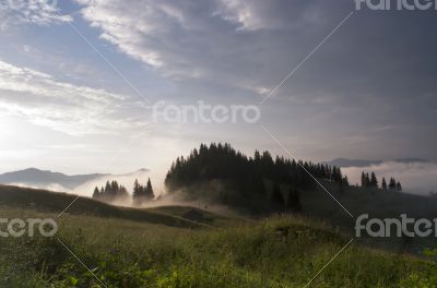 	evening mountain plateau landscape (Carpathian, Ukraine)