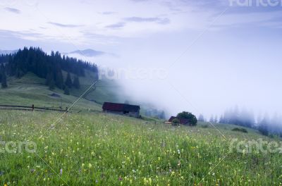 evening mountain plateau landscape (Carpathian, Ukraine)