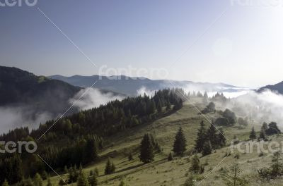 evening mountain plateau landscape (Carpathian, Ukraine)
