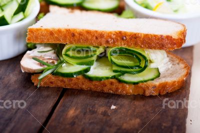 fresh vegetarian sandwich with garlic cheese dip salad